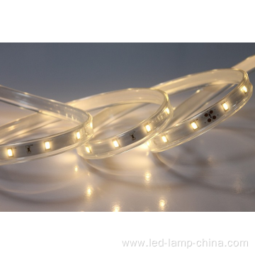 Christmas 5630 led strip